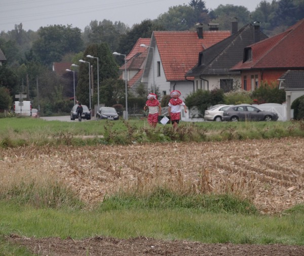 DSC00623